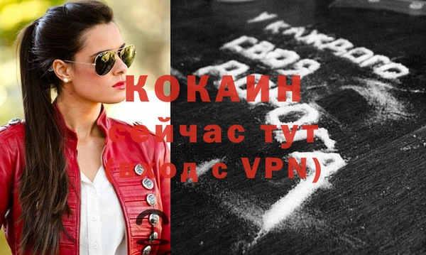 скорость Гусев
