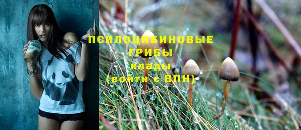 скорость Гусев