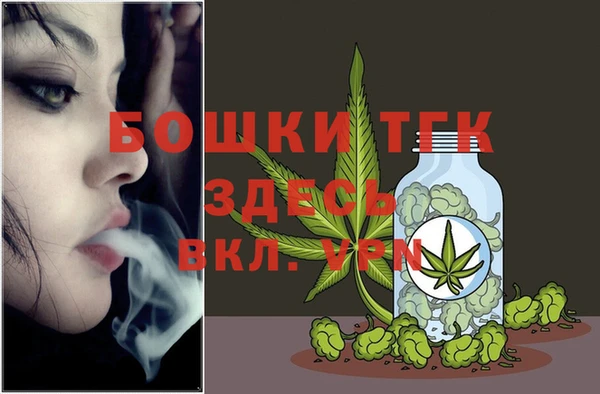 скорость Гусев