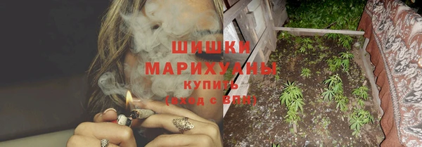 скорость Гусев