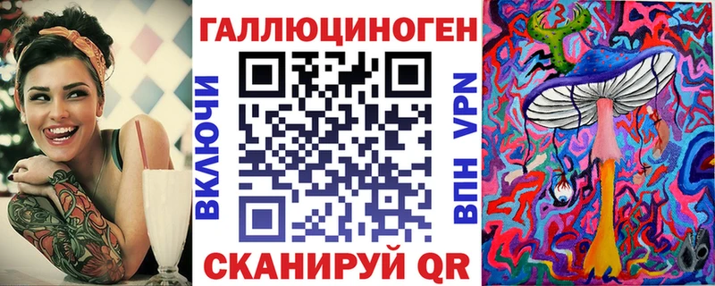 Купить  Курчалой  Псилоцибиновые грибы Psilocybe 